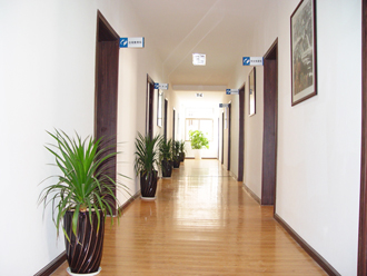 �����̻�ֲ������